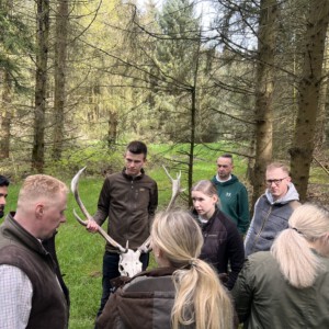 Wildtierkunde im Wald: Ausbilder erklärt ein Geweih – Jagdschule Jagdtalente