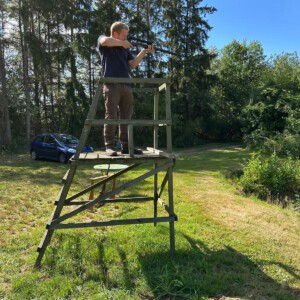 Jagdpraxis: Ansitz auf der Leiter im Revier